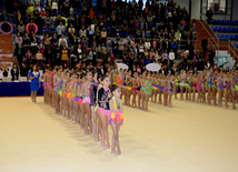 Bədii gimnastika üzrə XXII Bakı çempionatı və birinciliyi start götürüb. Bakı, Azərbaycan, 13 noyabr 2015